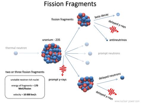 u 235 fission products